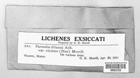 Image Associated With the Occurence